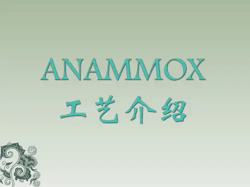厌氧氨氧化(ANAMMOX)工艺介绍