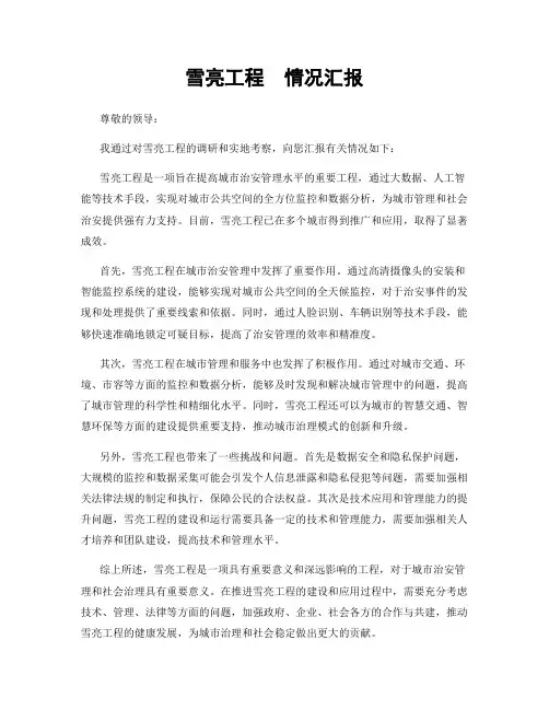 雪亮工程  情况汇报