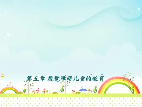 视觉障碍儿童的教育  ppt课件
