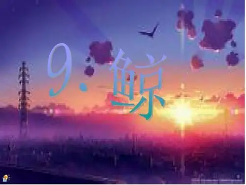 鲸