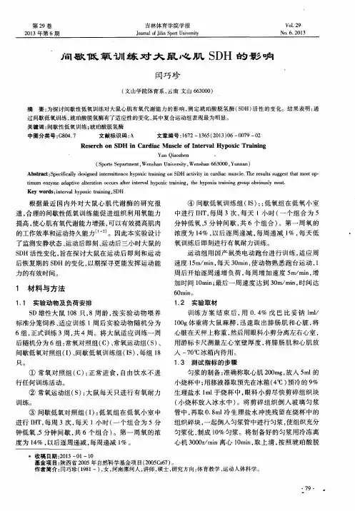 间歇低氧训练对大鼠心肌SDH的影响