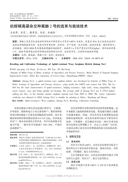 18830253_抗蚜糯高粱杂交种冀酿2_号的选育与栽培技术