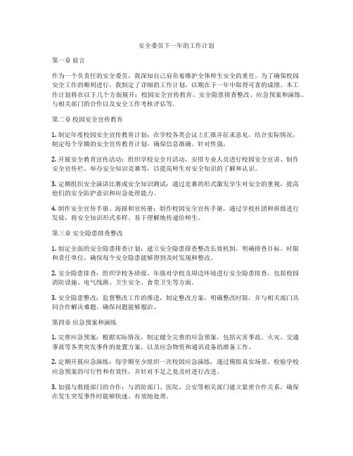 安全委员下一年的工作计划