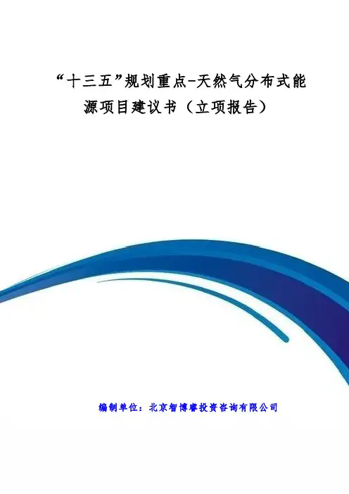 “十三五”规划重点-天然气分布式能源项目建议书(立项报告)