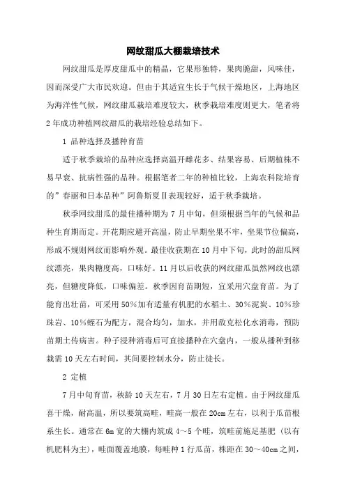 网纹甜瓜大棚栽培技术