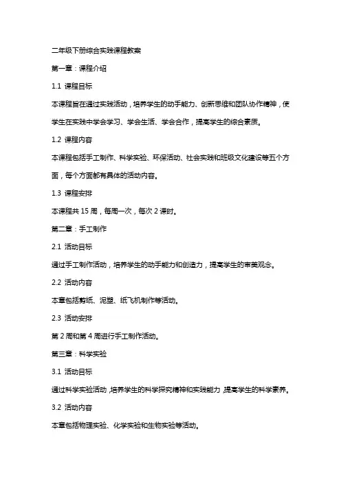 二年级下册综合实践课程教案
