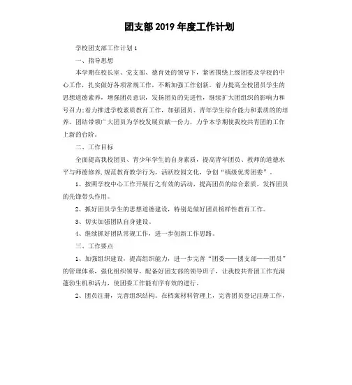 团支部2019年度工作计划