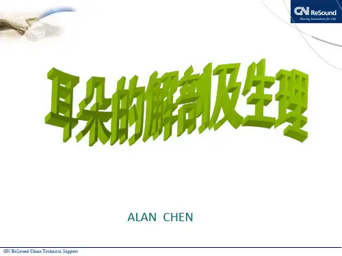 耳朵的解剖