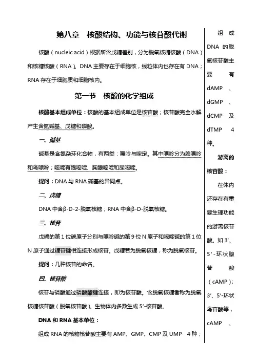 第八章核酸结构,功能与核苷酸代谢