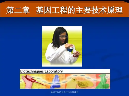 基因工程的主要技术原理课件