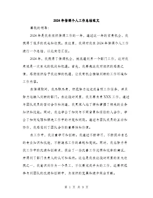 2024年借调个人工作总结范文(4篇)