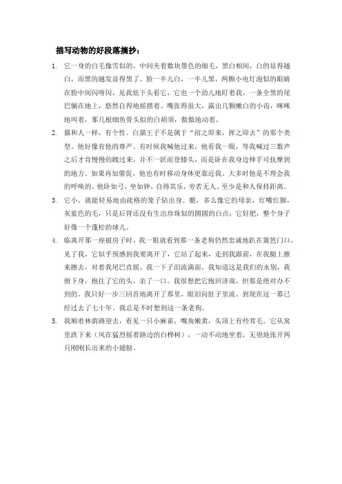 描写动物的好段落摘抄