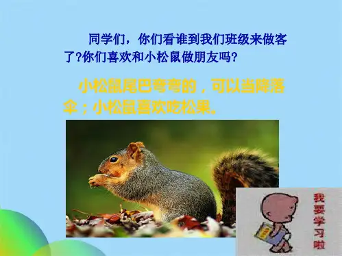 人教版一级语文下册松鼠和松果(共40张PPT)