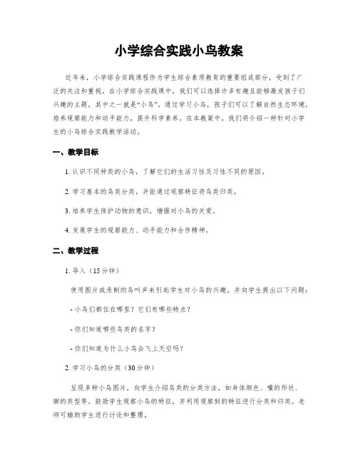 小学综合实践小鸟教案