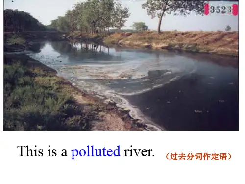 必修五unit1 语法