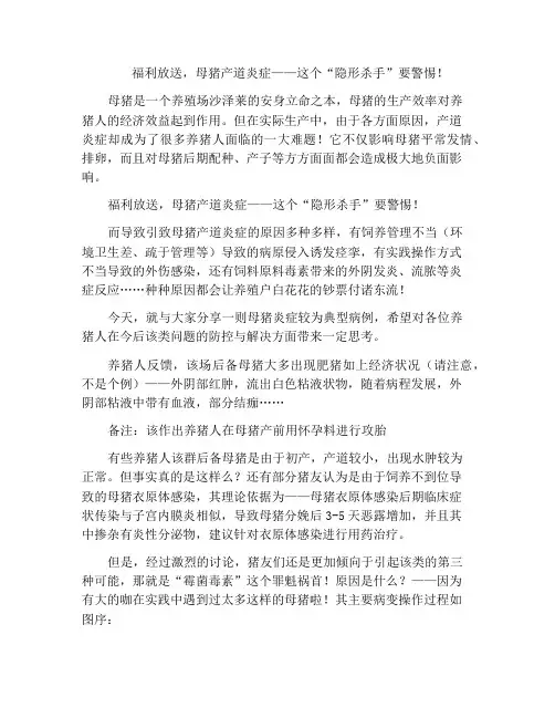 福利放送,母猪产道炎症——这个“隐形杀手”要警惕!