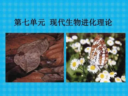 第七单元《现代生物进化理论》(人教版必修二)