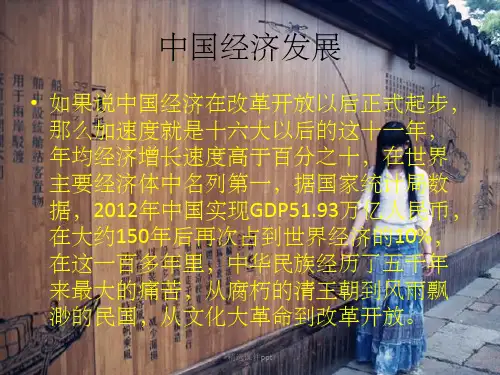 《中国经济发展》PPT课件