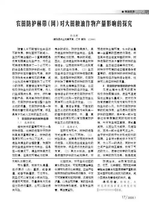 农田防护林带(网)对大田粮油作物产量影响的探究