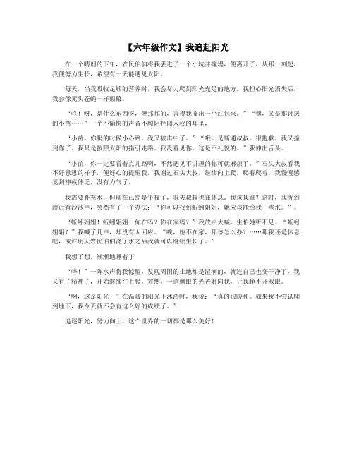 【六年级作文】我追赶阳光