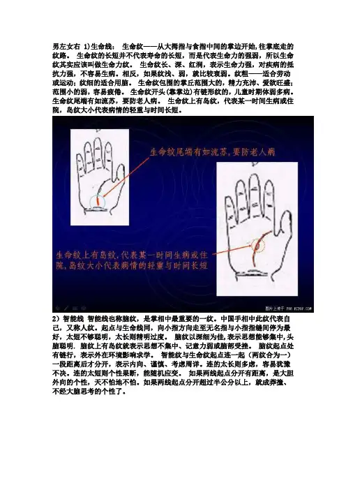 掌纹的秘密