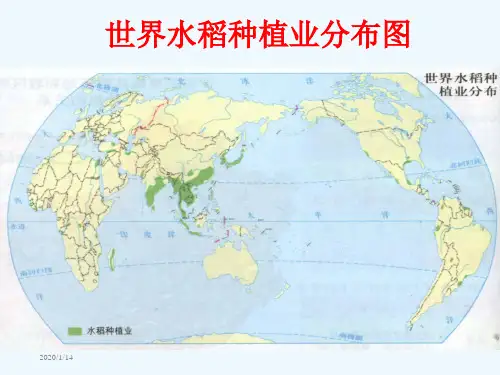 试谈世界水稻种植业的分布