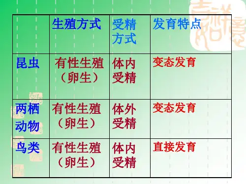 生物的遗传和变异复习课件