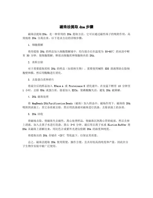 磁珠法提取dna步骤