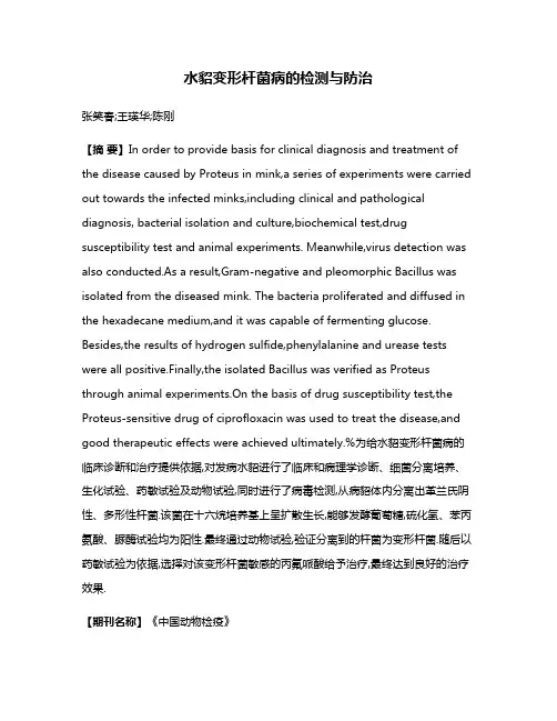 水貂变形杆菌病的检测与防治