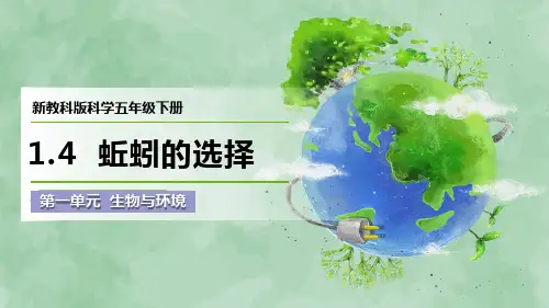 新教科版科学五年级下册第一单元 生物与环境《蚯蚓的选择》优质课件