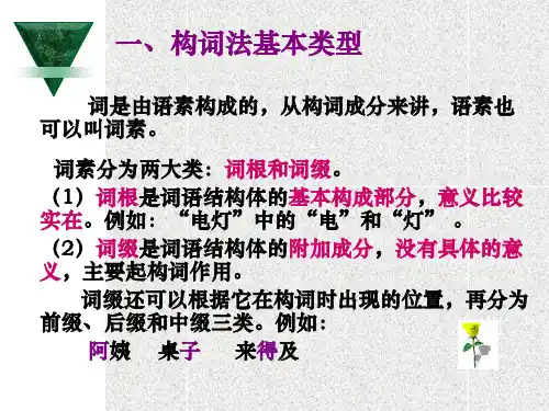 了解现代汉语词语构造的基本类型分析各种词