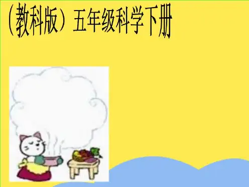 五年级科学下册热是怎样传递的课件教科版(“物体”相关文档)共10张