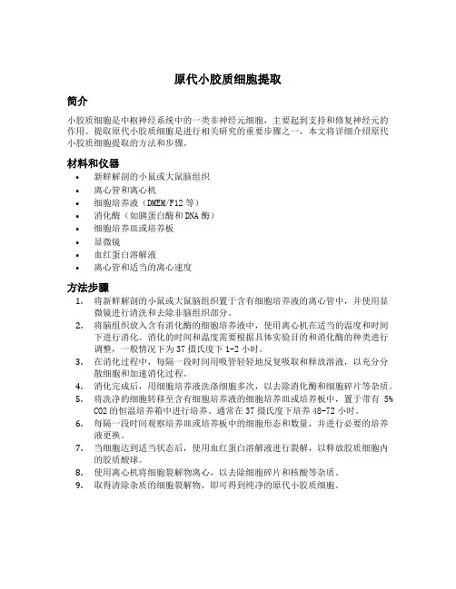 原代小胶质细胞提取