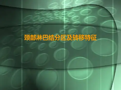【2019年整理】颈部淋巴结病变