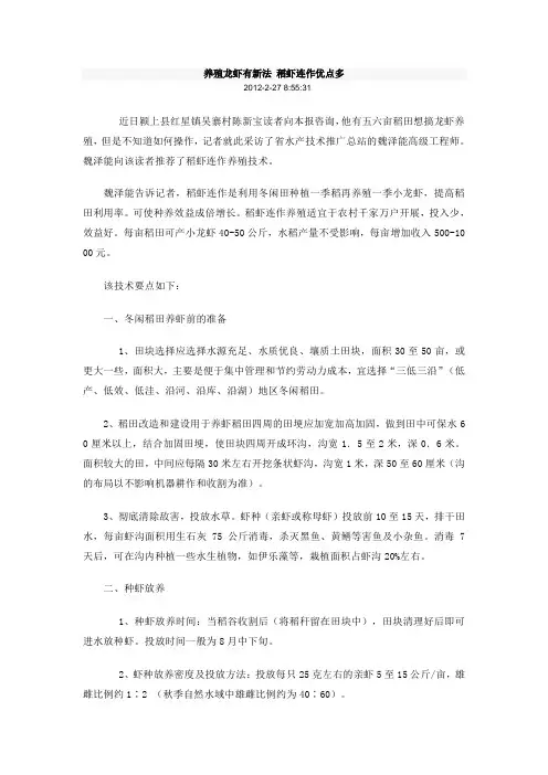 养殖龙虾有新法 稻虾连作优点多