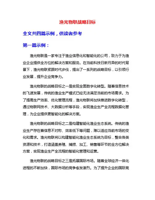 渔光物联战略目标