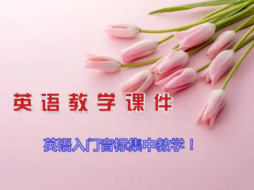 26个英文字母自然拼读及国际音标的初级知识