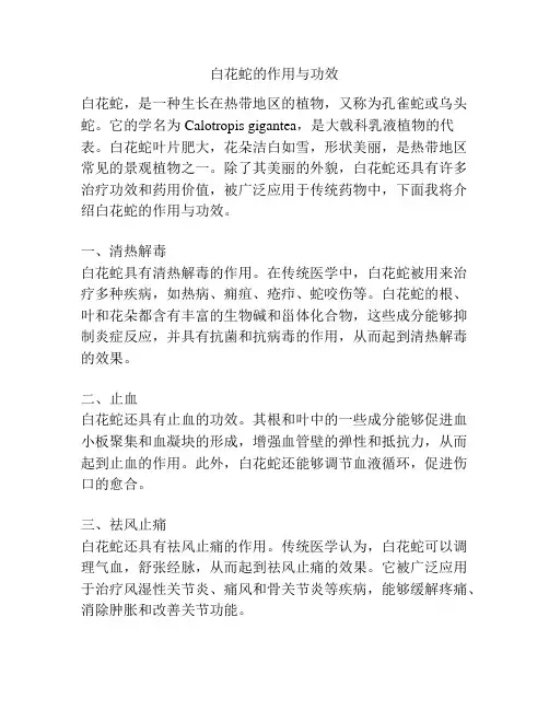 白花蛇的作用与功效