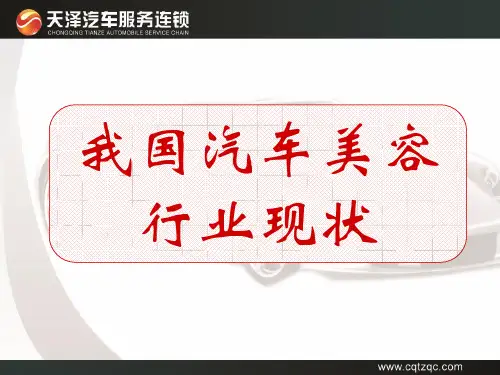 汽车美容行业现状(1)