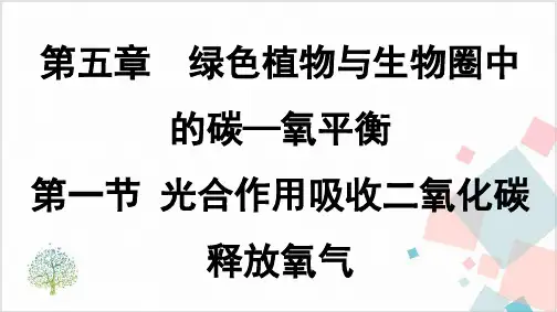 人教版ppt《光合作用吸收二氧化碳释放氧气》-ppt下载