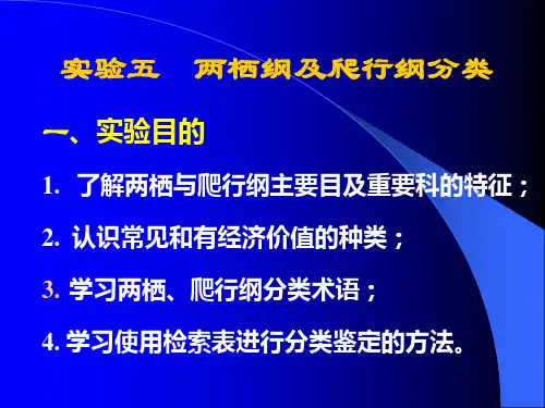 动物学实验8、_两栖纲及爬行纲分类