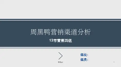 《周黑鸭渠道设计》