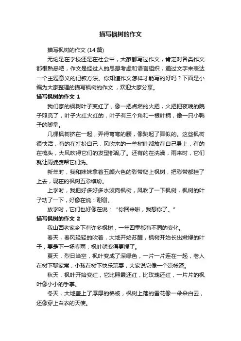 描写枫树的作文（14篇）