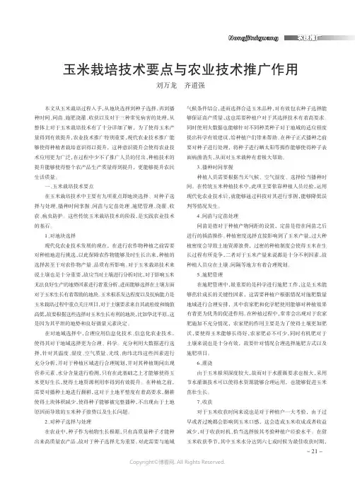 玉米栽培技术要点与农业技术推广作用