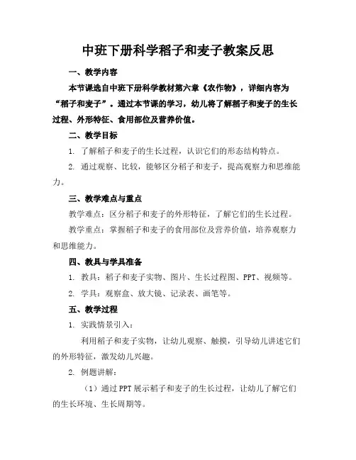 中班下册科学稻子和麦子教案反思