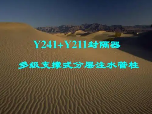 Y221+ Y241多级支撑式分层注水管柱