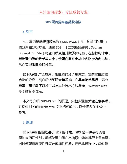 sds聚丙烯酰胺凝胶电泳