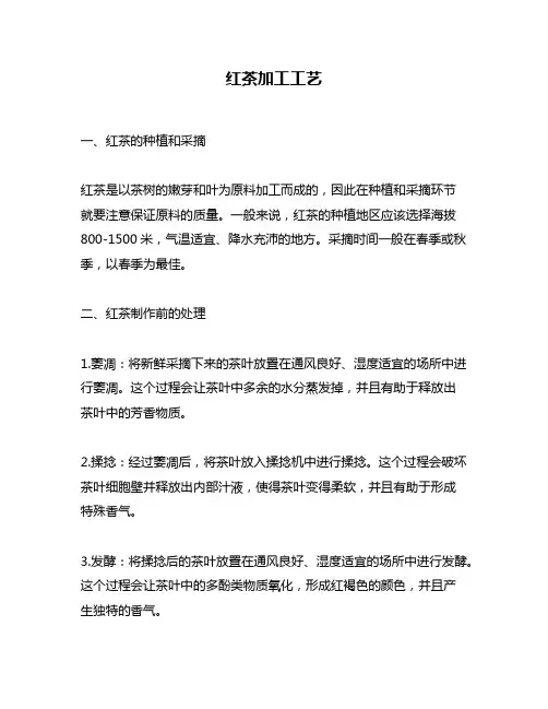 红茶加工工艺