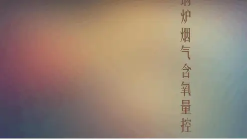锅炉烟气含氧量控制