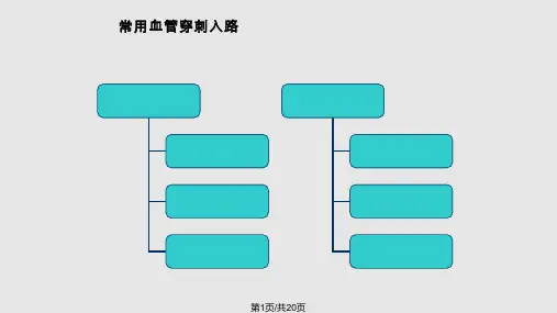 股动脉穿刺PPT课件